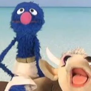 Meet your Posher, Benjamin